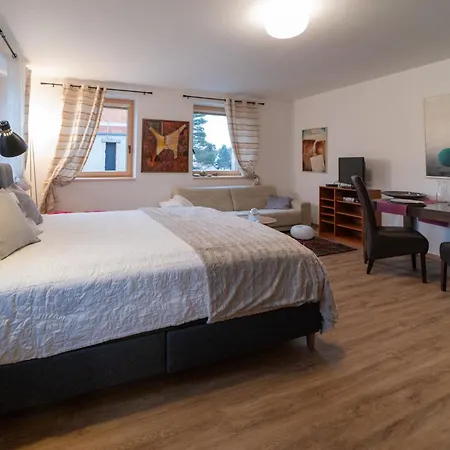 V Centru Apartament