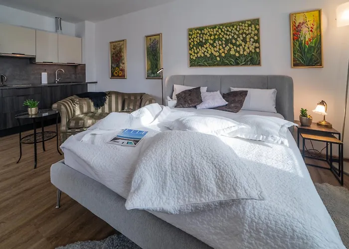 V Centru Apartament *